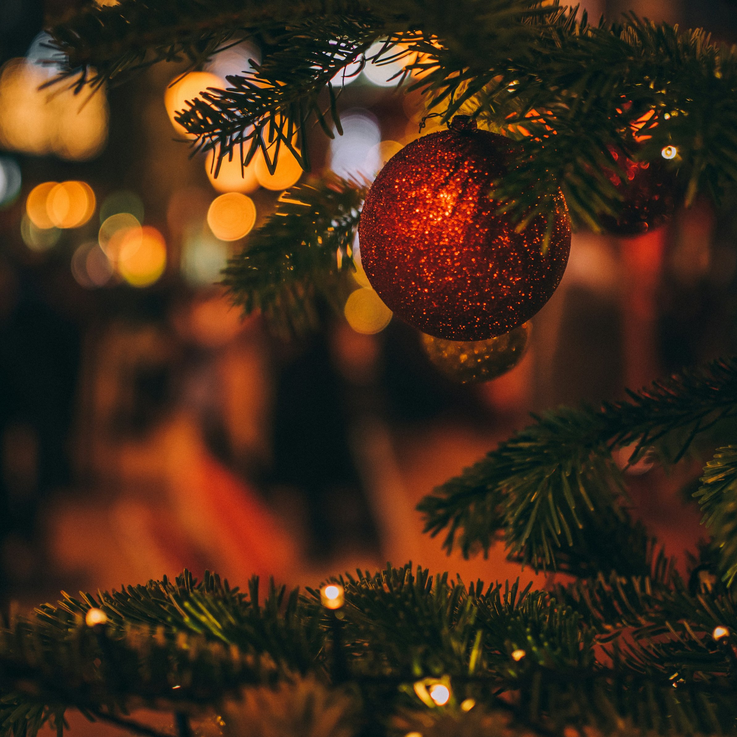 Red ball on the Christmas tree - Wallpapers for iPad Pro 11″ in 2388x2388 resolution