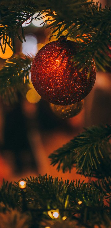 Red ball on the Christmas tree - Wallpapers for Samsung in 360x740 resolution