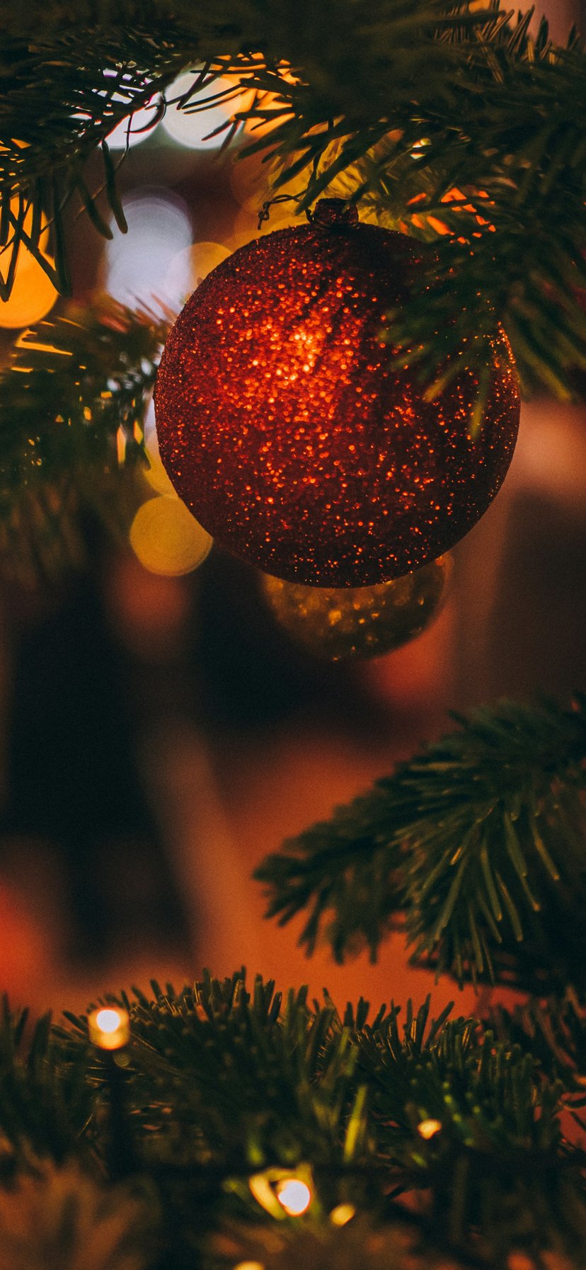 Red ball on the Christmas tree - Wallpapers for iPhone 11/XR in 828x1792 resolution