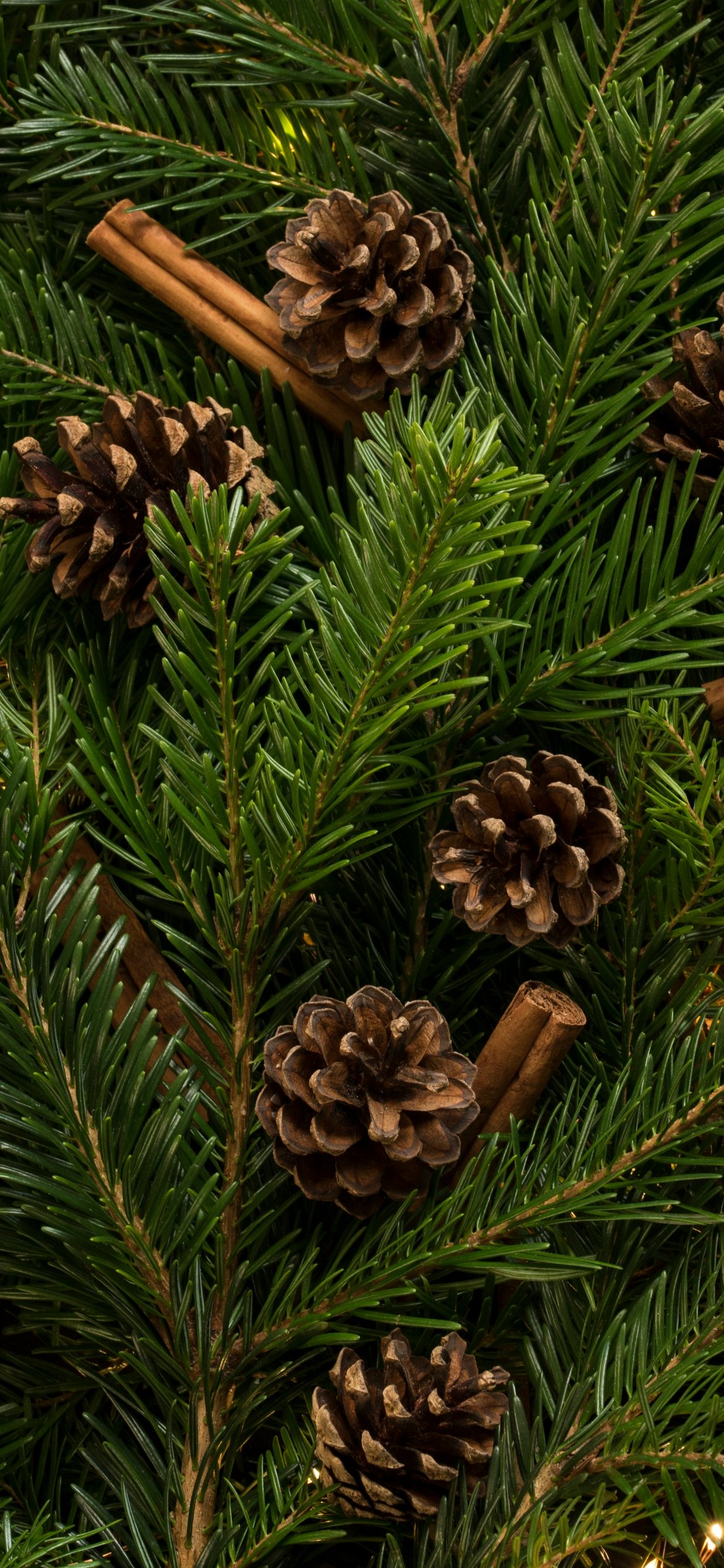 Pinecones and cinnamon on fir branches - Wallpapers for iPhone 12 Pro/13 Pro/14 in 1170x2532 resolution