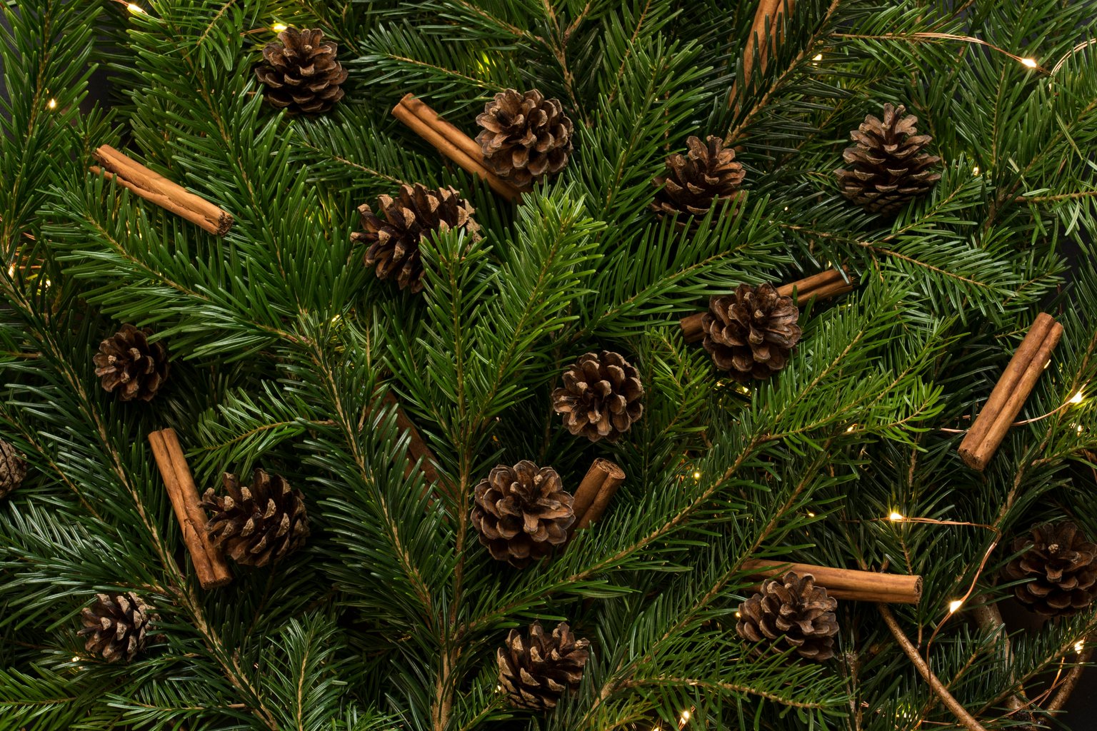 Pinecones and cinnamon on fir branches - Microsoft Surface 12.4″ wallpapers in 1536x1024 resolution