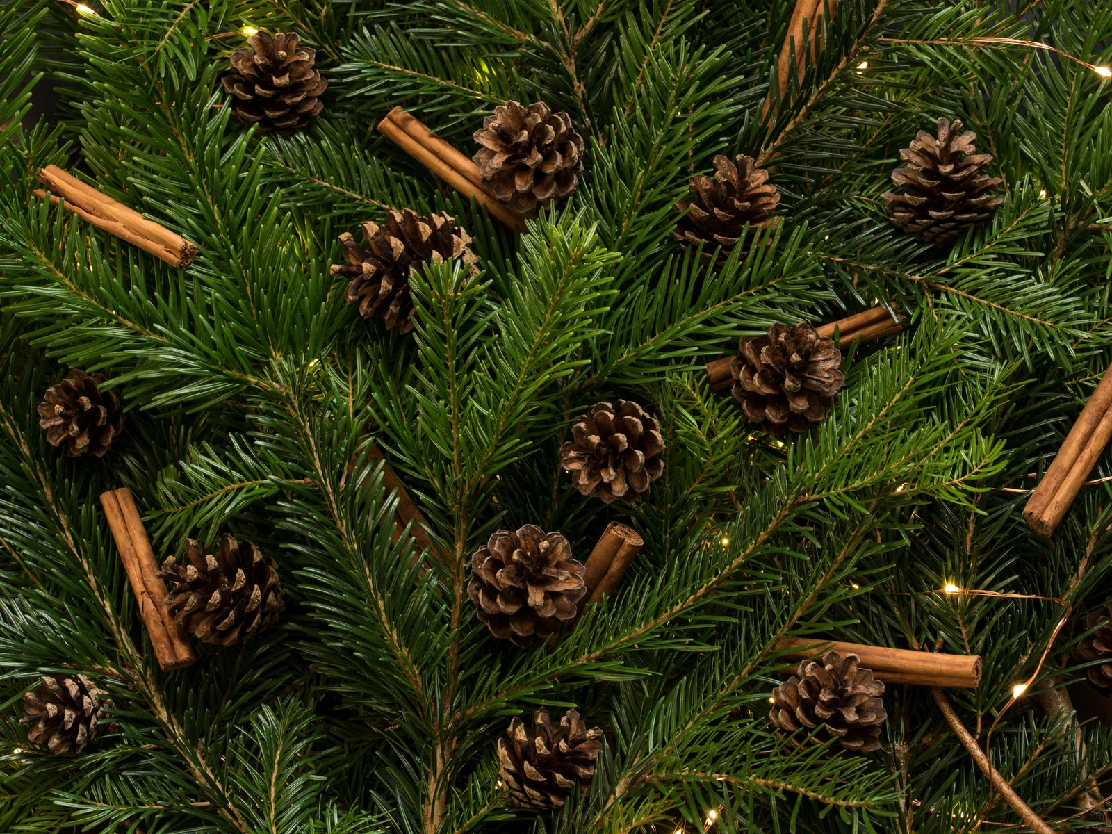 Pinecones and cinnamon on fir branches - UXGA wallpapers in 1600x1200 resolution