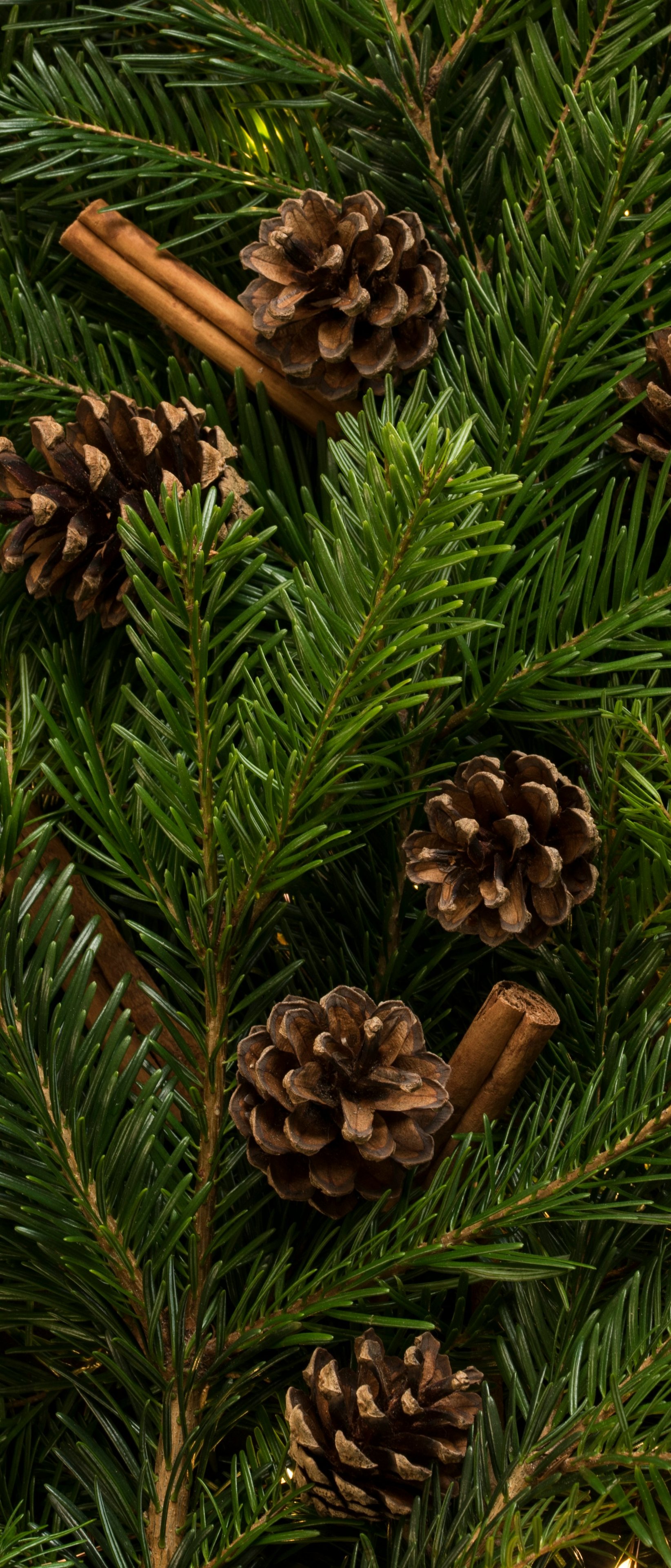 Pinecones and cinnamon on fir branches - Wallpapers for Sony Xperia 1/Xperia 1 III/Xperia PRO-I in 1644x3840 resolution