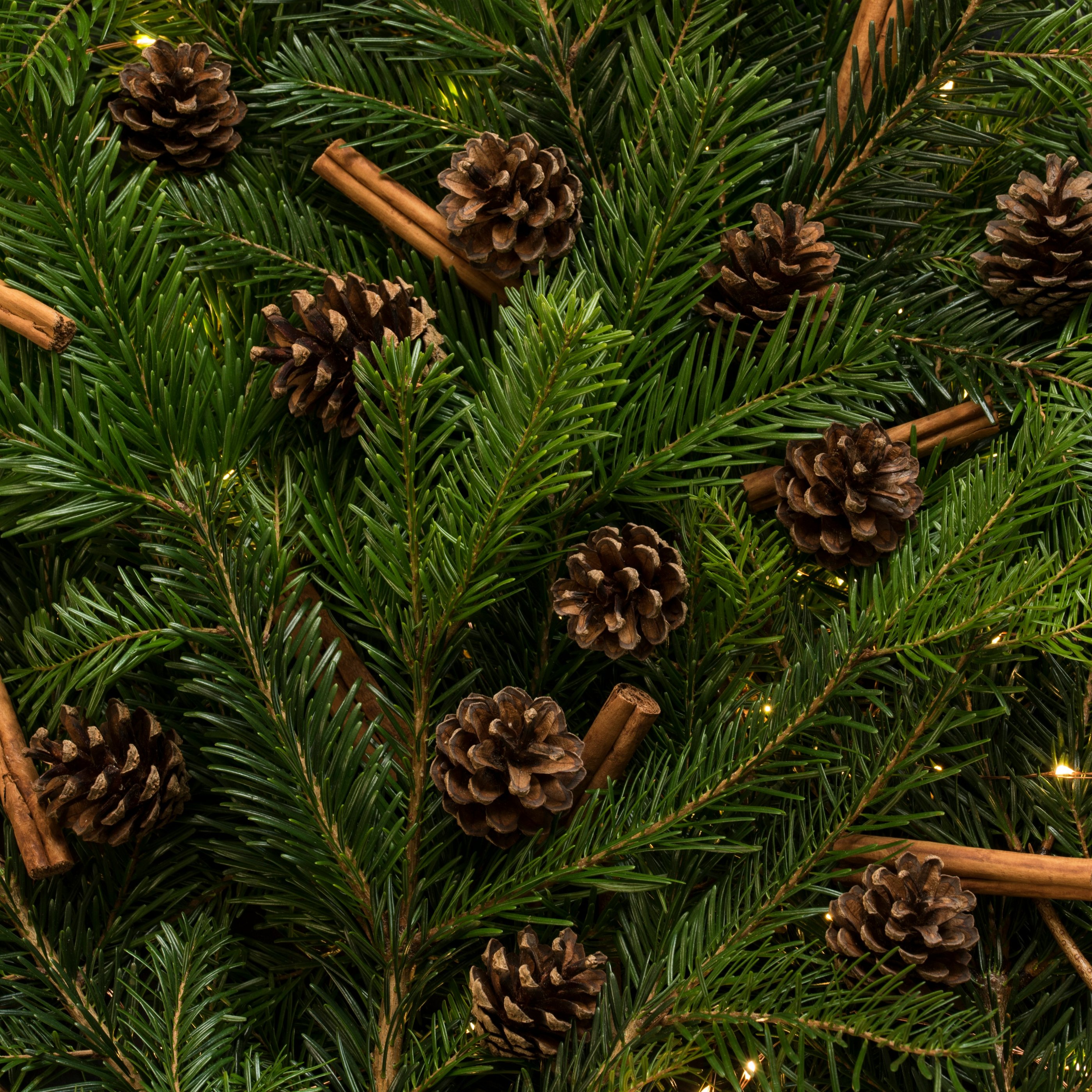 Pinecones and cinnamon on fir branches - Wallpapers for Samsung Galaxy Tab S9+ in 2800x2800 resolution