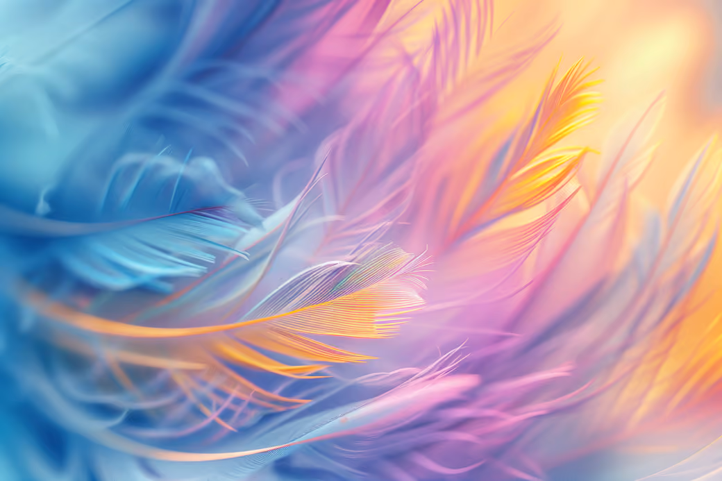 Colorful soft feathers - Wallpapers for Samsung Galaxy Tab in 1920x1920 resolution