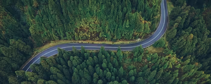 UltraWide 21:9 Journey wallpapers (2560x1080): forest, road, trees, asphalt