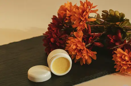 Interior design wallpapers: flowers, decor, autumn, leaves