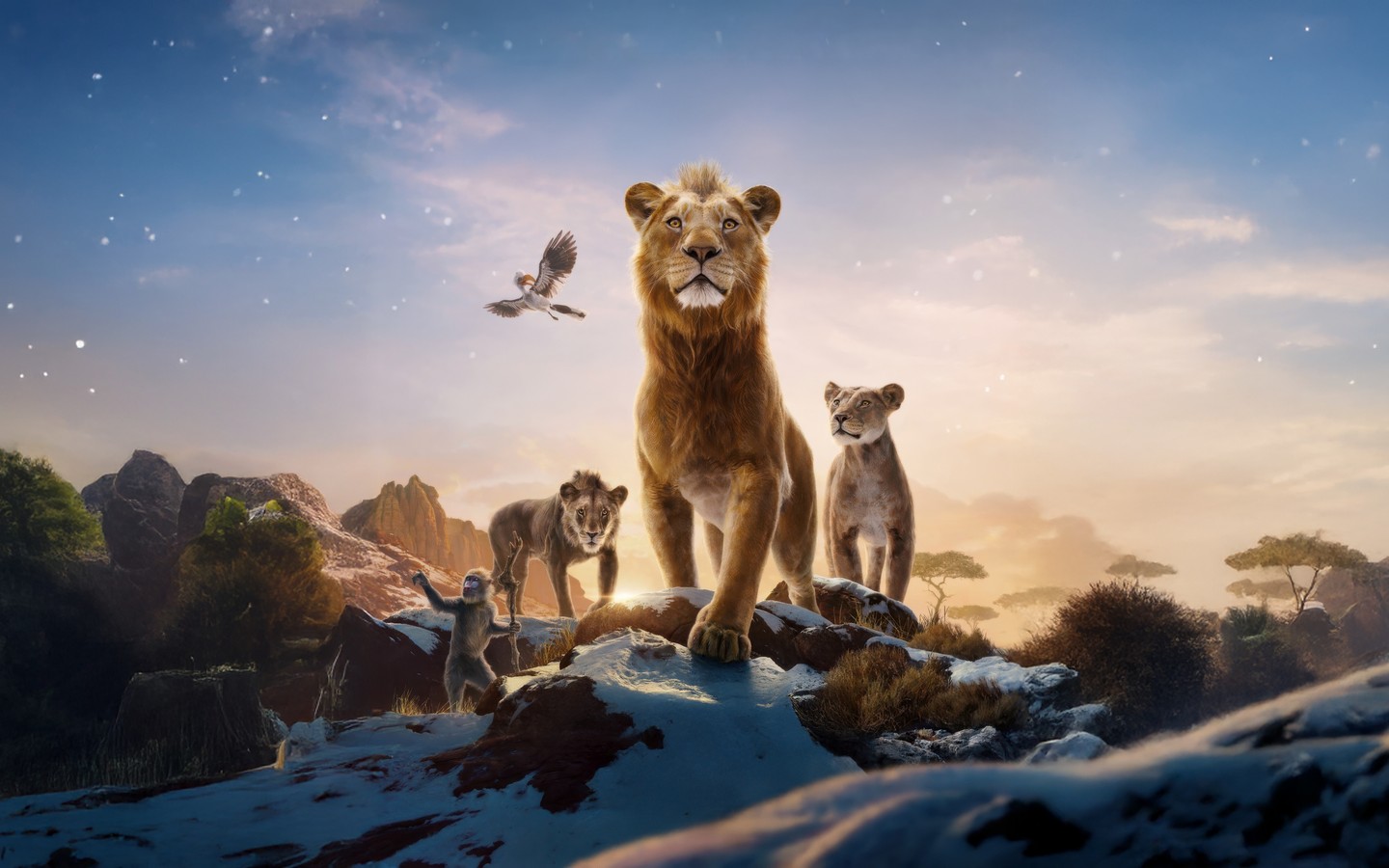 Majestic Lions in a Beautiful Sunset Scene