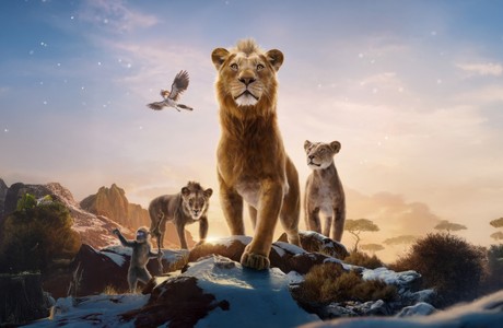 Majestic Lions in a Beautiful Sunset Scene