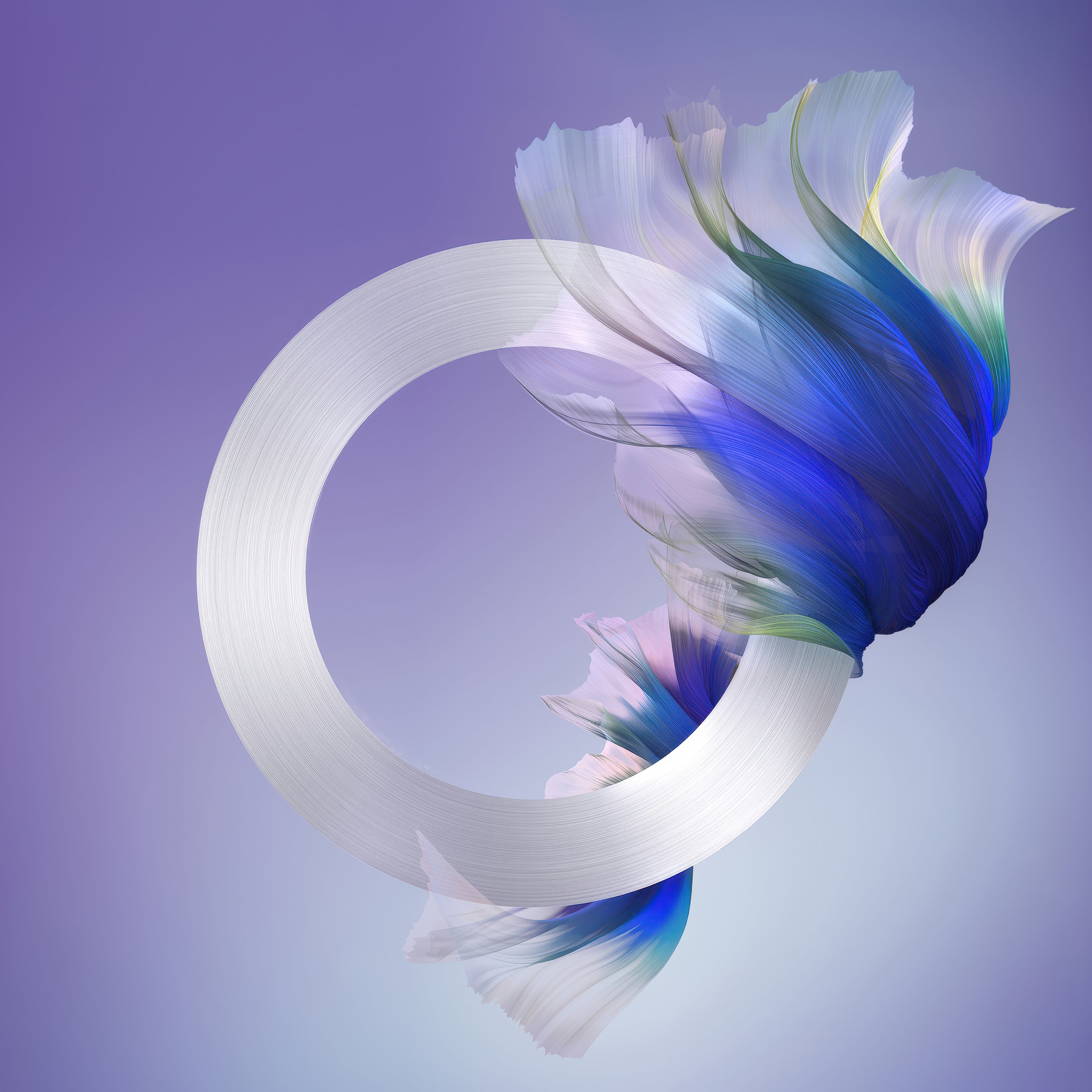 White ring with flowing blue fabric - Wallpapers for iPad Pro 12.9″ in 2732x2732 resolution