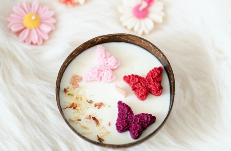 Colorful Flower Butterflies in a Bowl of Cream