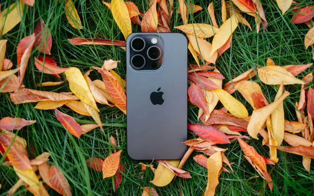 Черный iPhone на осенних листьях и траве — обои на рабочий стол и телефон