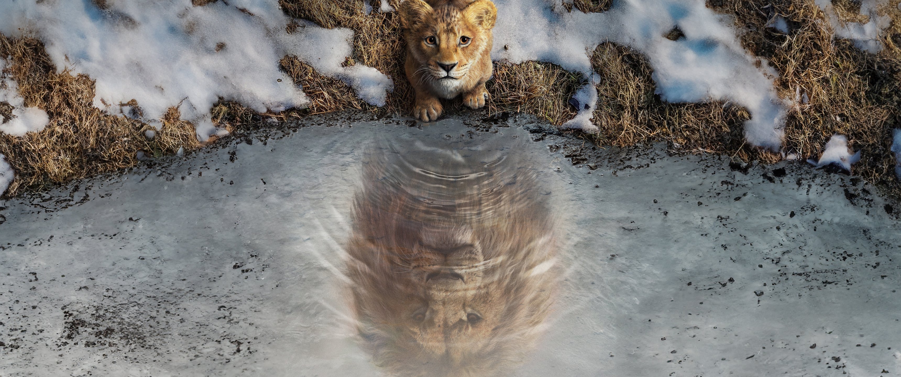 Mufasas Reflection in Frozen Water - UltraWide 21:9 wallpapers in 3440x1440 resolution