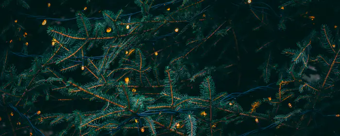 UltraWide 32:9 обои гирлянда (3840x1080): гирлянда, ветка, сосна, свет