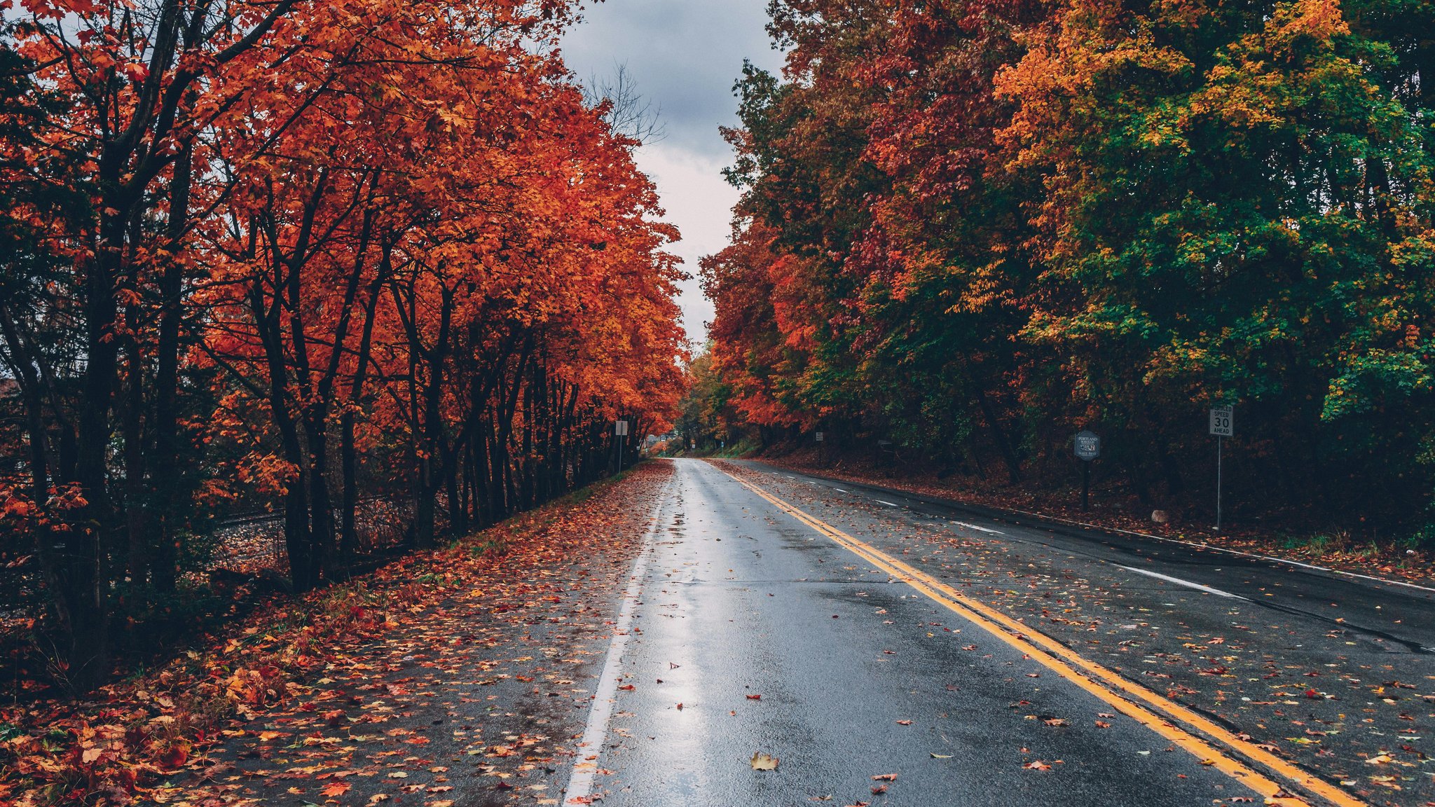 Empty road with autumn leaves - QWXGA wallpapers in 2048x1152 resolution