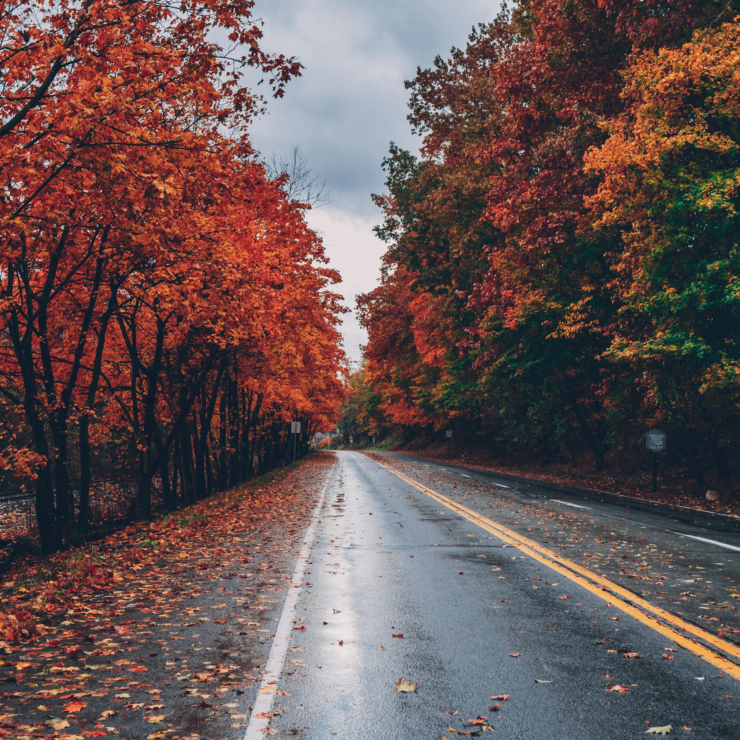 Empty road with autumn leaves - Wallpapers for iPad Pro 11″ 2024 in 2420x2420 resolution