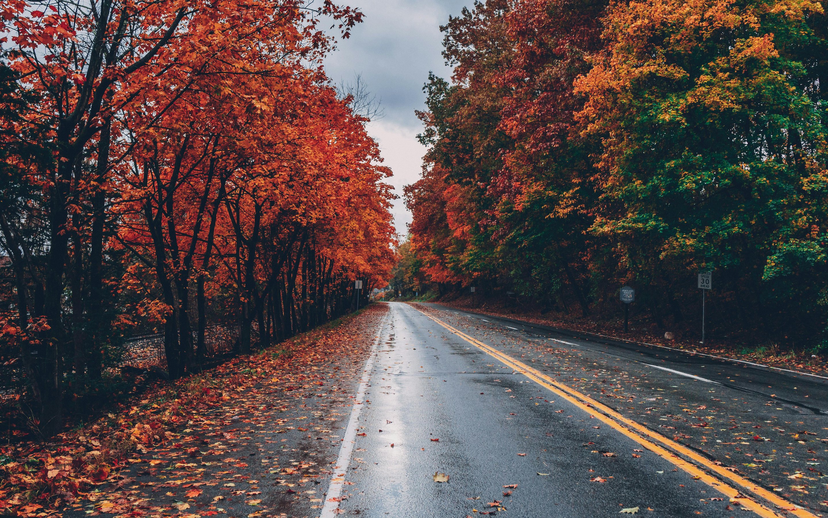 Empty road with autumn leaves - Wallpapers for Apple MacBook 15″ in 2880x1800 resolution