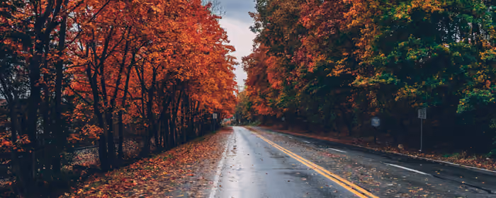 Nature wallpapers: road, autumn, trees, autumn leaves