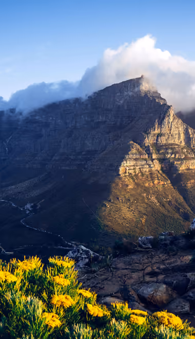 Nature wallpapers: Africa, mountains, valley, flowers
