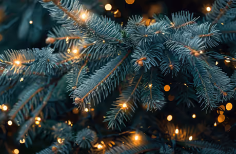 Celebrations wallpapers: Christmas, Happy New Year, christmas tree, stringlight