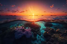 Reef - wallpapers collection