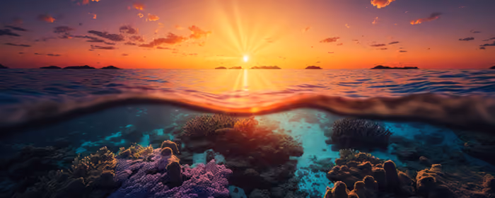 Nature wallpapers: sunset, corals, reef, ocean