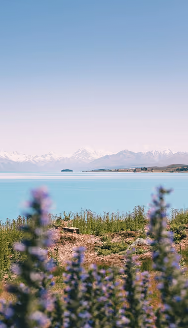 Обои природа: озеро, горы, лаванда, цветы