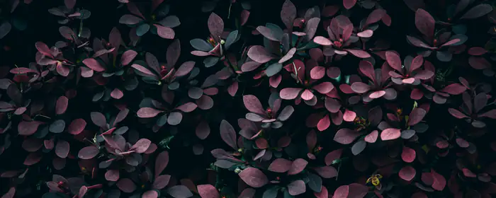Nature wallpapers: leaves, bush, greenery, garden