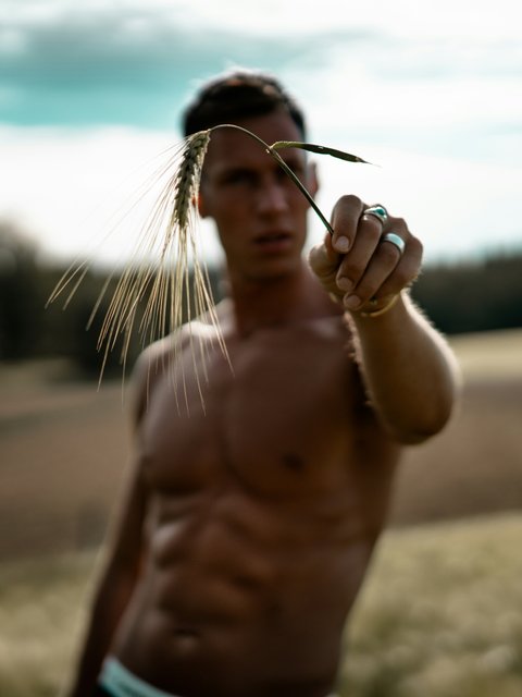 Muscular man - Wallpapers for HTC/BlackBerry in 480x640 resolution