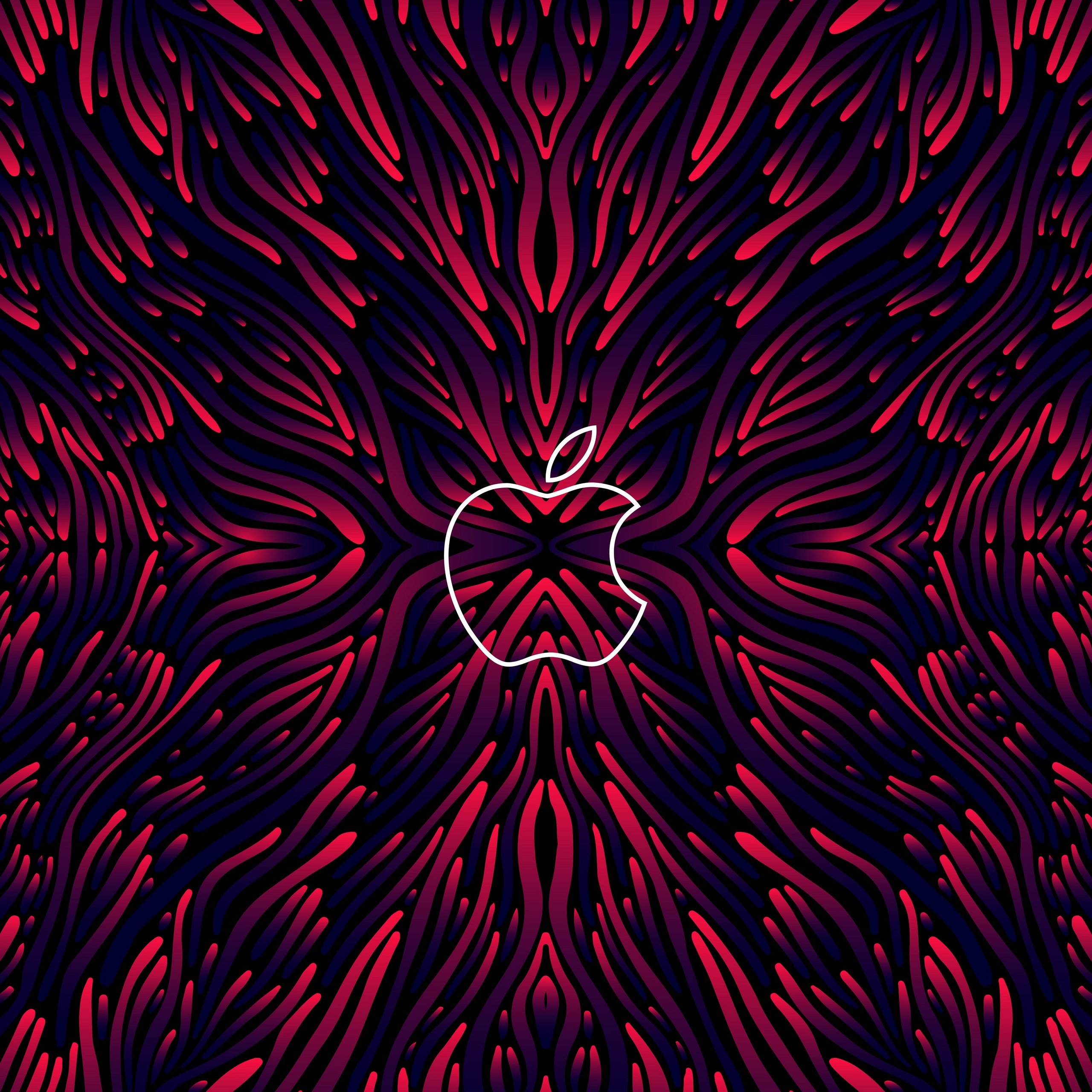 Apple event with red vibes - Wallpapers for Samsung Galaxy Tab S9 FE+/Tab S11, Xiaomi Pad 5, Redmi Pad 2 Pro, POCO Pad in 2560x2560 resolution
