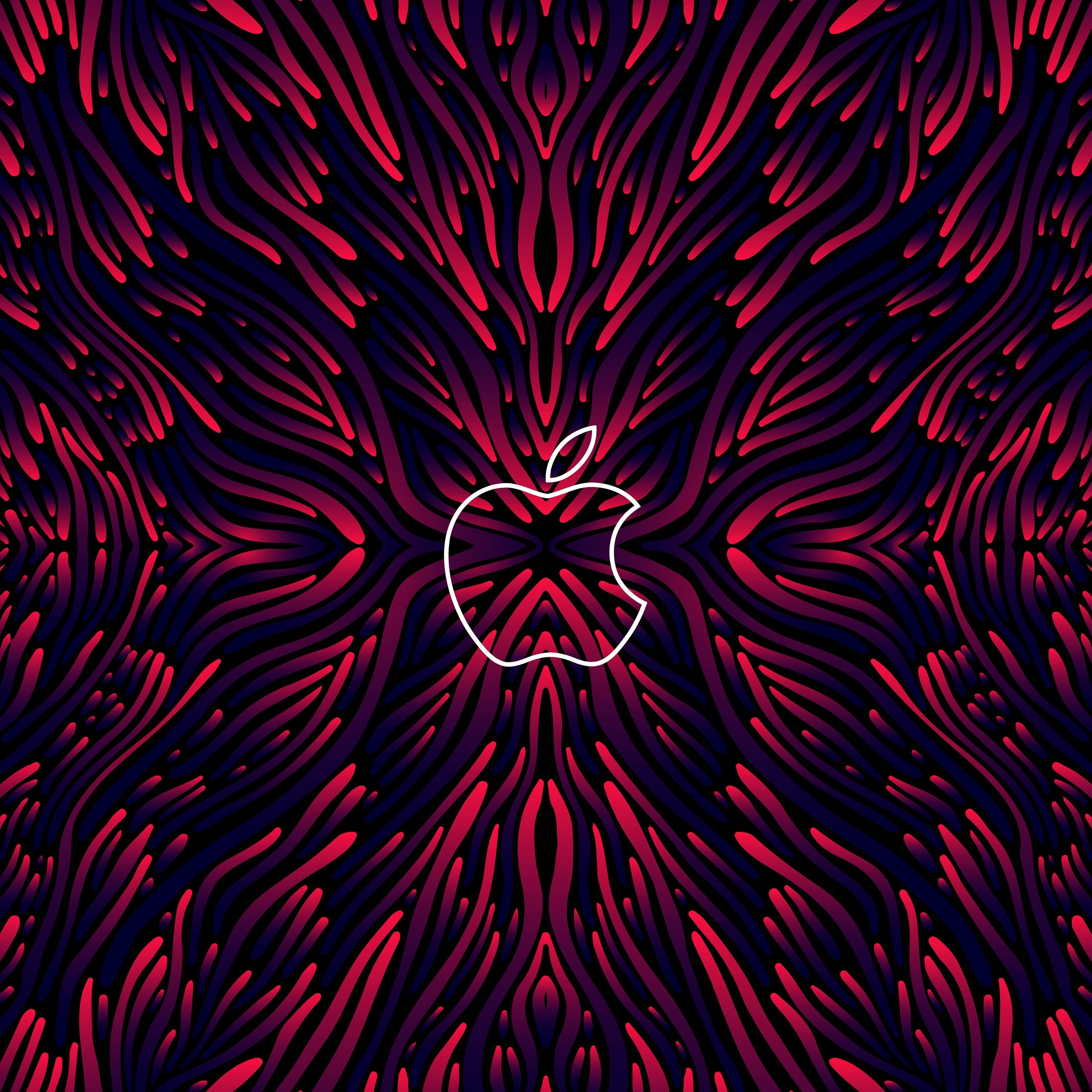 Apple event with red vibes - Wallpapers for Samsung Galaxy Tab S9+ in 2800x2800 resolution
