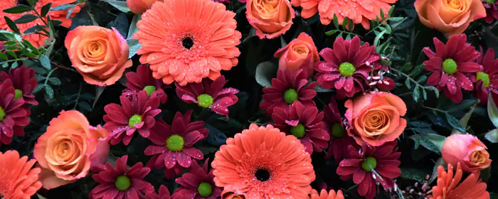 Nature wallpapers: roses, gerberas, flowers, bouquet