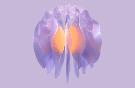 Lavender Wallpapers for Samsung Galaxy Tab S9+ (2800x2800): petals, glow, light, lavender