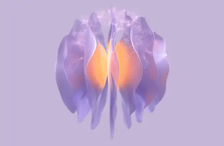 Shape Wallpapers: petals, glow, light, lavender