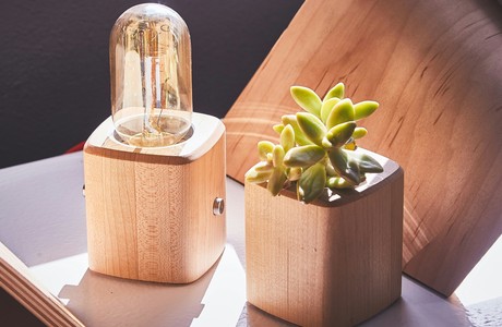 Stylish Desk Setup With Succulent And Vintage Bulb