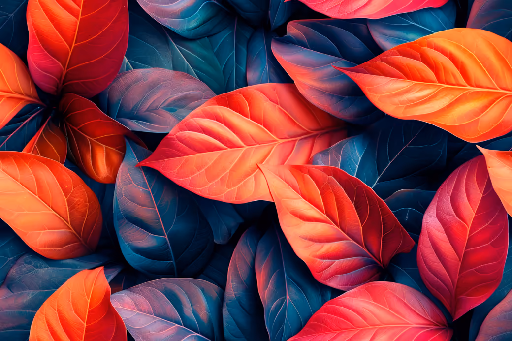 Bright reds and blues — desktop and phone wallpaper, free download