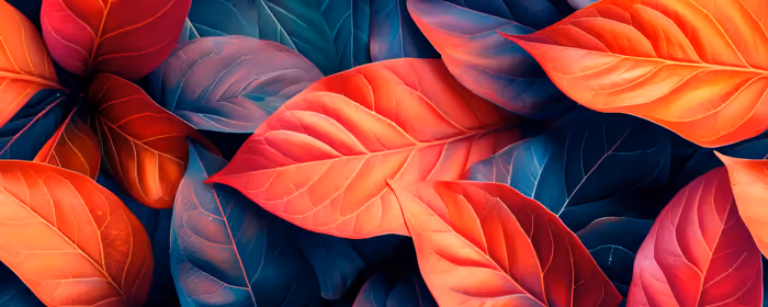 UltraWide 32:9 обои узор (3840x1080): осенние листья, осень, листья, узор