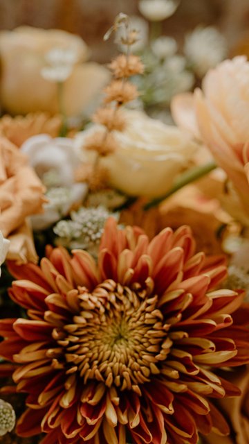 Chrysanthemums and dried flowers - Wallpapers for Nokia, Samsung in 360x640 resolution