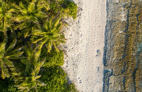 Stunning Aerial View of Serene Tropical Beach