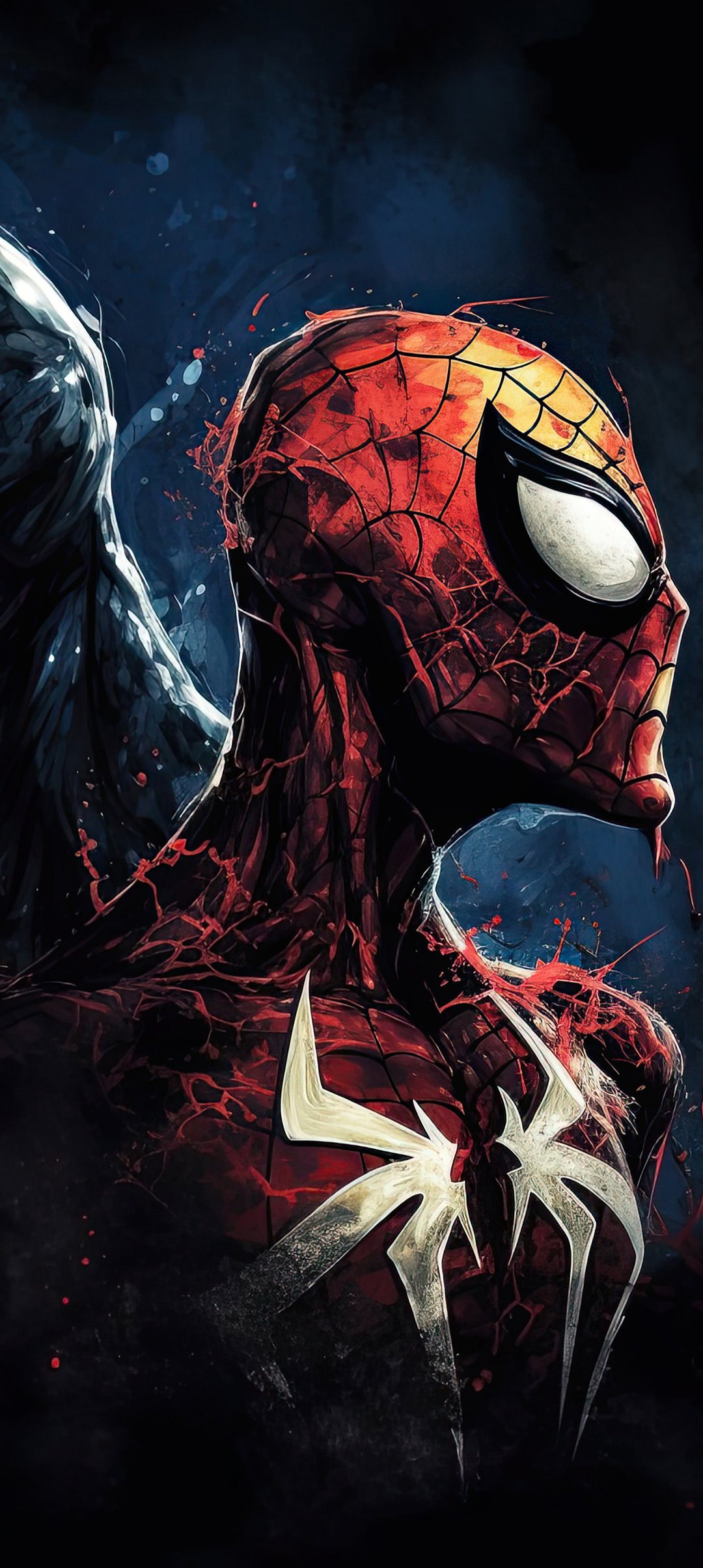 Black Spiderman and Spiderman - Wallpapers for Samsung Galaxy A13/A14/A53, Realme 12 Pro 5G, POCO M5 in 1080x2408 resolution