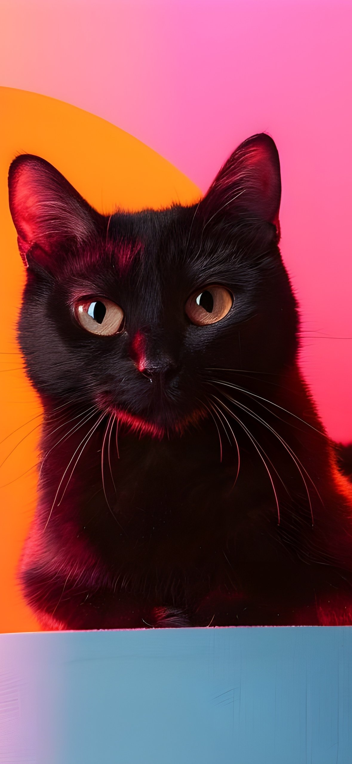 Black cat in colorful lighting - Wallpapers for iPhone 14 Pro/15 Pro in 1179x2556 resolution