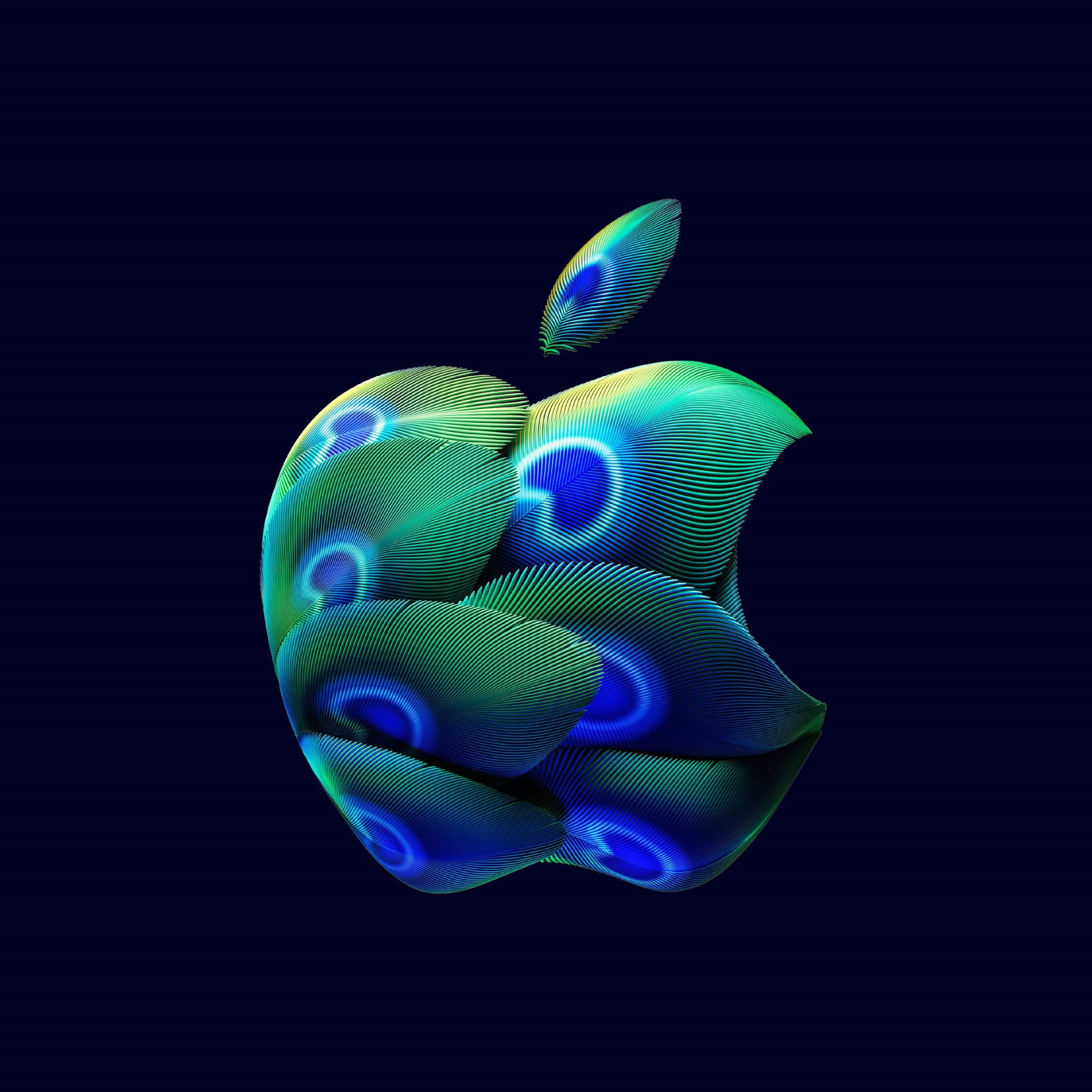 Apple Hebbal Store India Logo - Wallpapers for iPad Air 10.9″ in 2360x2360 resolution