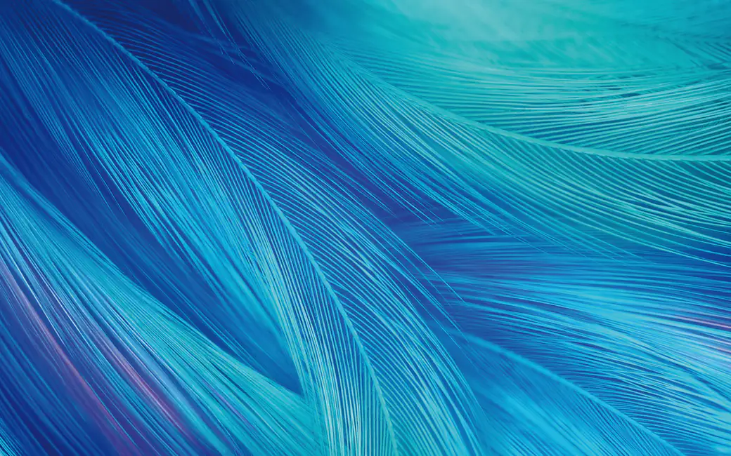 Close up of textured blue feathers — desktop and phone wallpaper, free download