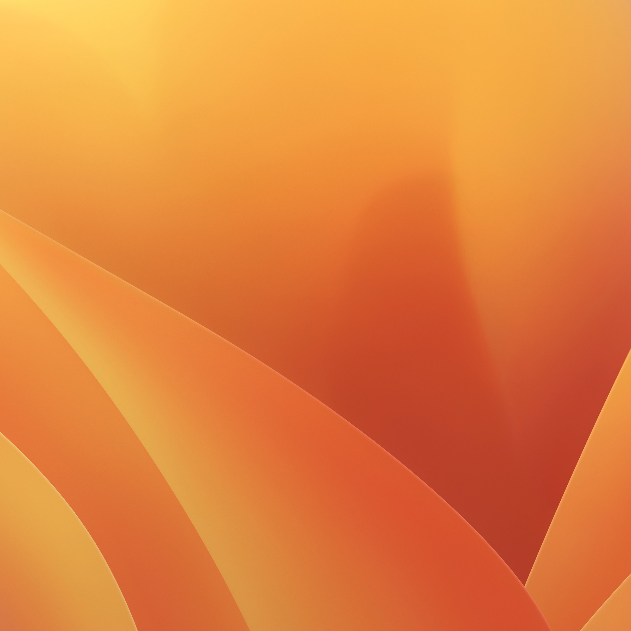 macOS Ventura Wallpaper - Wallpapers for iPad Pro 11″ 2024 in 2420x2420 resolution