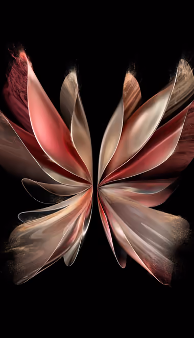 Illustrations wallpapers: vivo, pattern, wings, texture