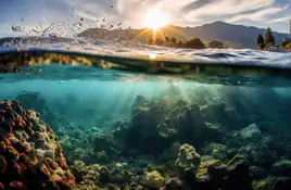 Ocean - wallpapers collection