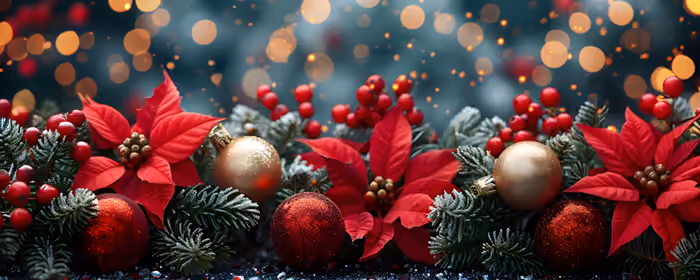 UltraWide 21:9 wallpapers (2560x1080): Christmas, poinsettia, ornament, pine