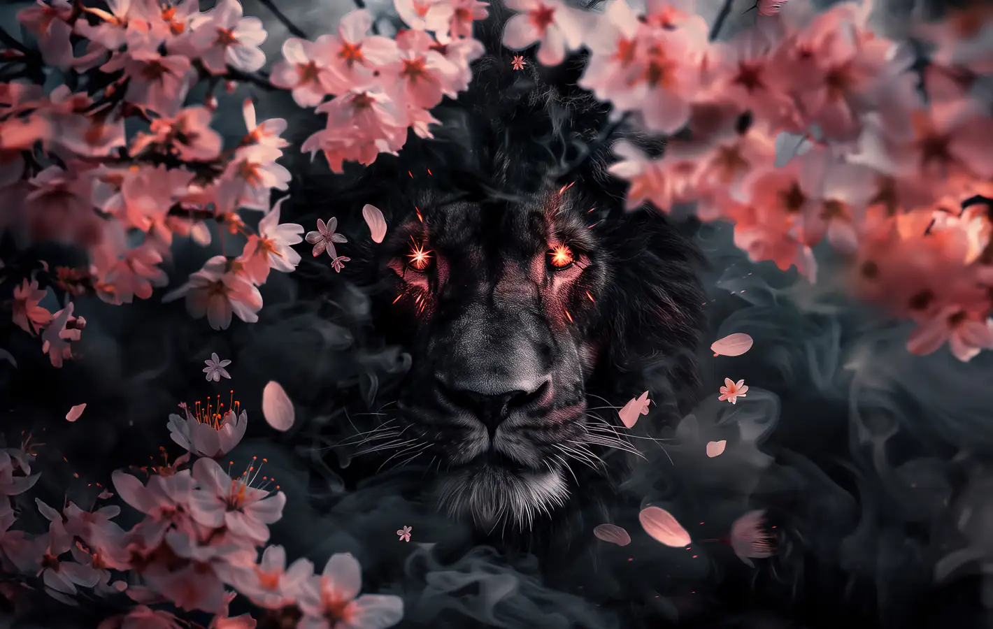 Black Lion surrounded by Cherry Blossom — desktop and phone wallpaper, free download