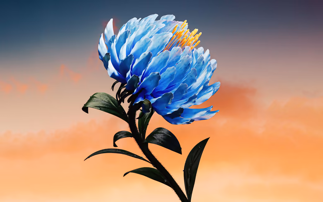 Blue Chrysanthemum — desktop and phone wallpaper, free download
