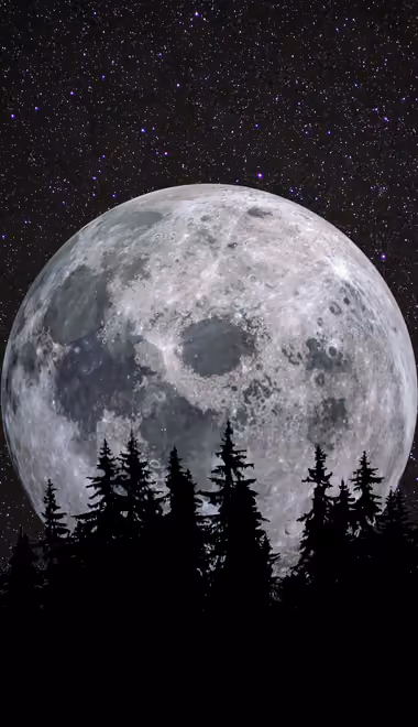 Обои космос: луна, звёздное небо, лес, ночь